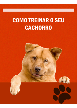 COMO TREINAR O SEU CACHORRO